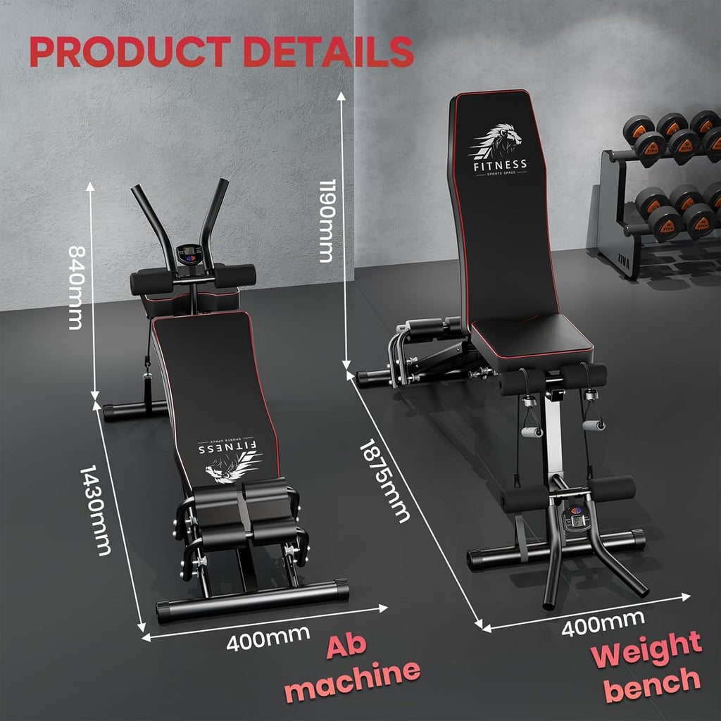 Fitness equipment including an ab machine and weight bench with dimensions on a gray background.