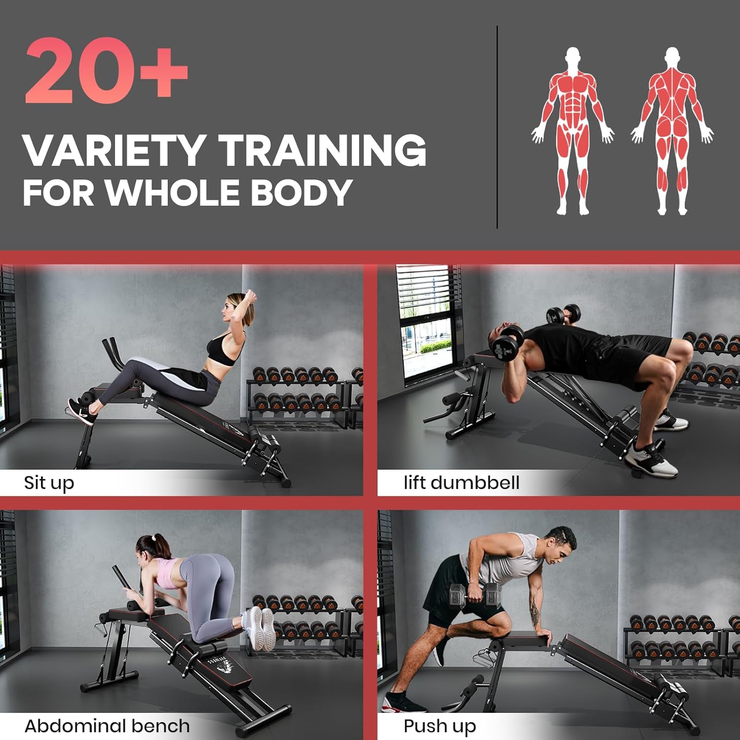 Gym setting with people exercising and text about variety training for the whole body.